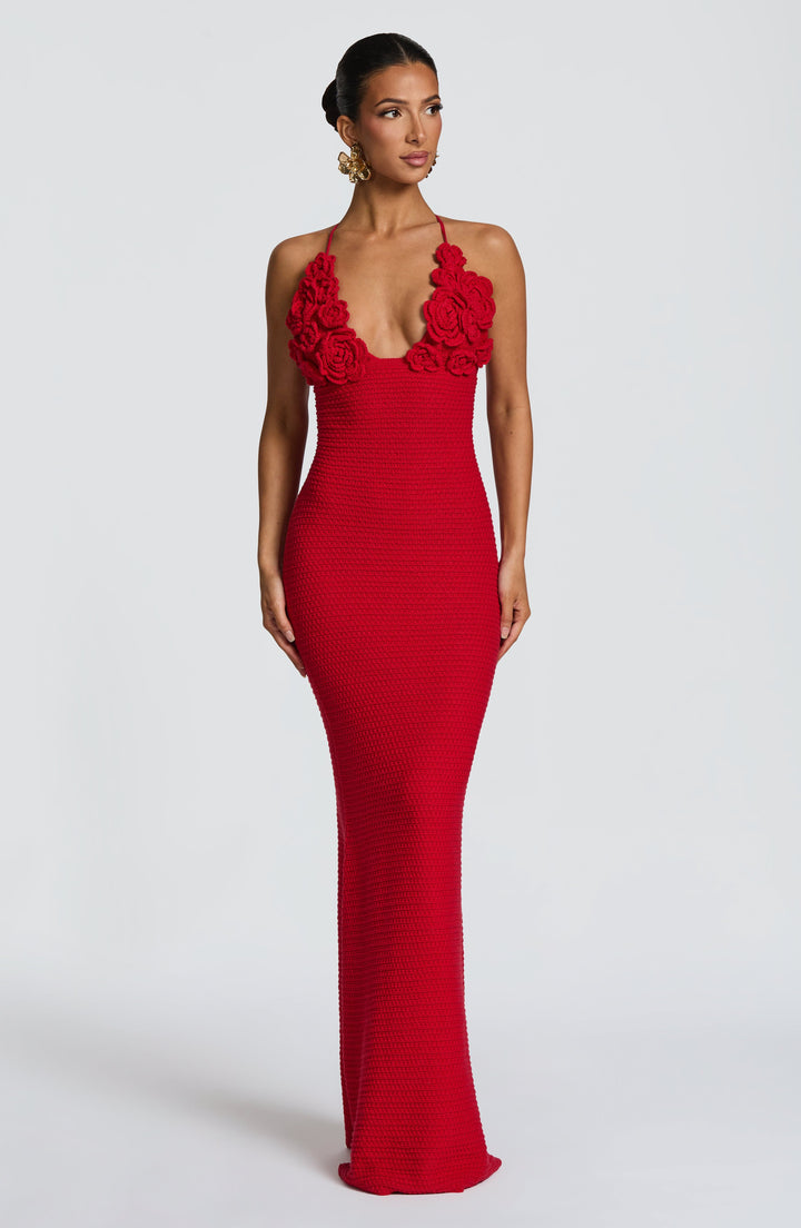 Elysia Long Maxi Dress