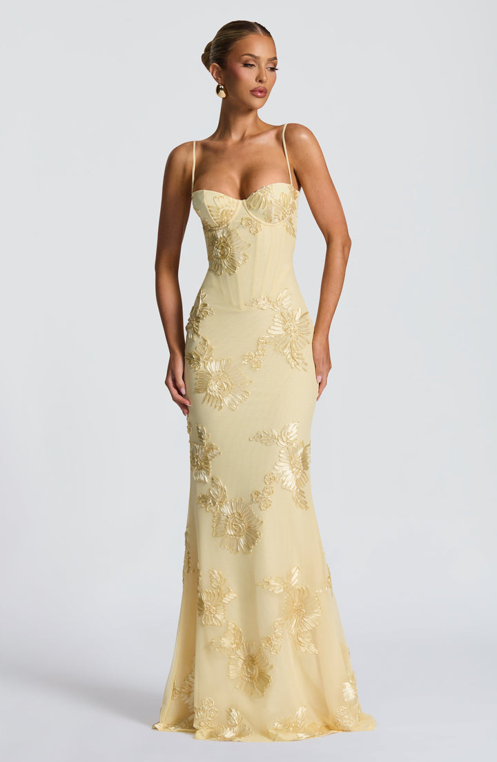 Mirelle Long Maxi Dress