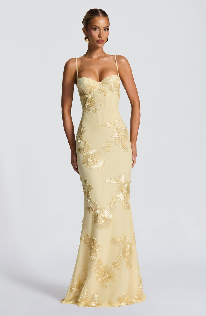 Mirelle Long Maxi Dress