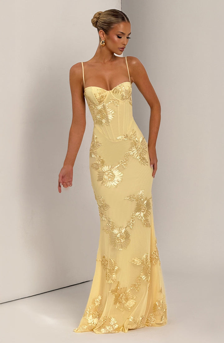 Mirelle Long Maxi Dress